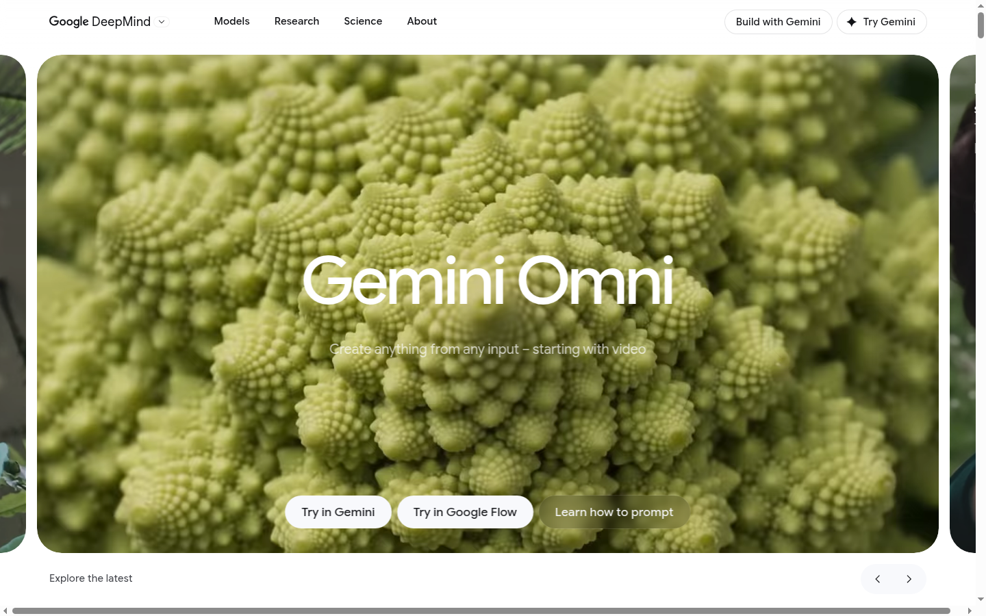 Gemini Omni