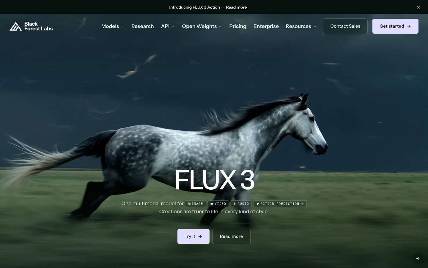 Black Forest Labs (FLUX)